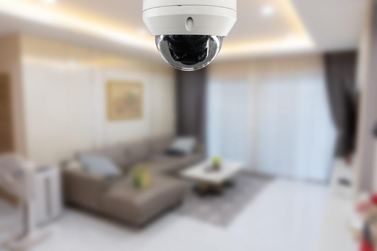 Indoor- Outdoor Camera